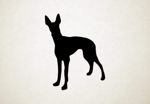 Silhouette hond - Ibizan Hound