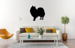 Silhouette hond - Indian Spitz - Indiase spits