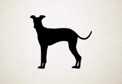 Silhouette hond - Italian Greyhound - Italiaanse windhond