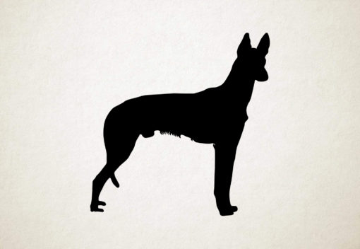 Silhouette hond - Kaikadi