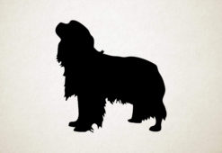 Silhouette hond - King Charles