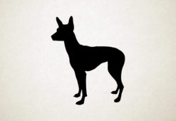 Silhouette hond - Mexican Hairless - Mexicaanse haarloze