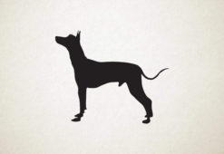 Silhouette hond - Peruvian Hairless Dog - Peruaanse haarloze hond