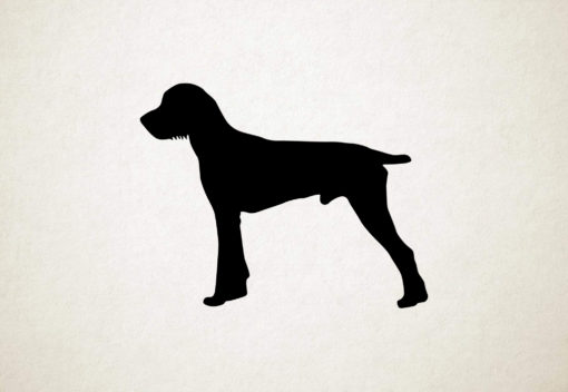 Silhouette hond - Pudelpointer