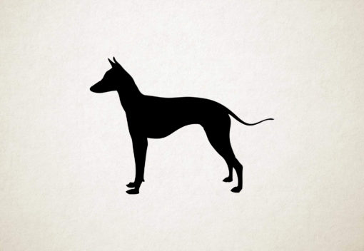 Silhouette hond - Xoloitzcuntli
