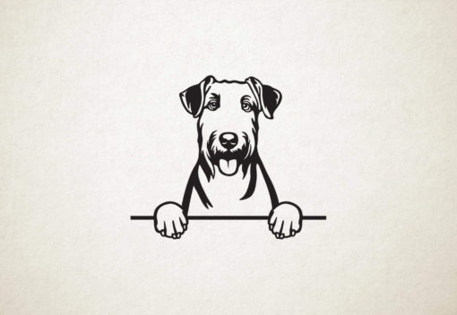 Airedaleterriër - Airedale Terrier - hond met pootjes