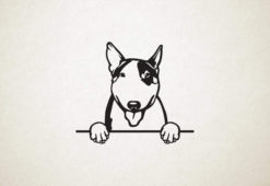 Bull Terrier - hond met pootjes