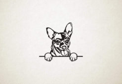 Chihuahua - hond met pootjes
