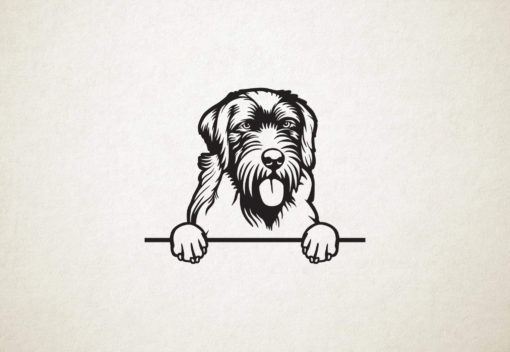 Wirehaired Pointing Griffon - Griffon Korthals - hond met pootjes
