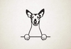 Xoloitzcuintli - Mexicaanse naakthond - hond met pootjes
