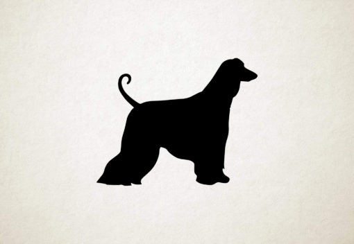 Afghaanse windhond - Afghan Hound - Silhouette hond