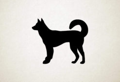 Alaskan Klee Kai - Silhouette hond