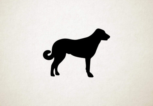 Anatolische Herdershond - Silhouette hond
