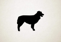 Australische herder - Silhouette hond