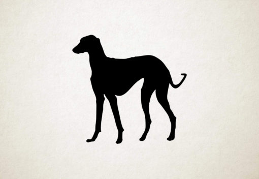 Azawakh - Silhouette hond