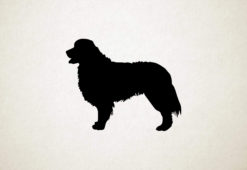 Berner Sennenhond - Silhouette hond