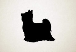 Biewer Yorkshire - Biewer Terrier - Silhouette hond