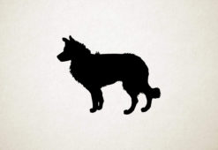 Border Collie - Silhouette hond