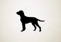 Bracco Italiano - Silhouette hond