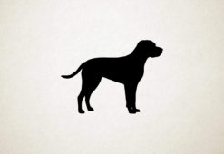 Braque Du Bourbonnais - Silhouette hond