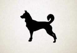 Canaanhond - Canaan Dog - Silhouette hond