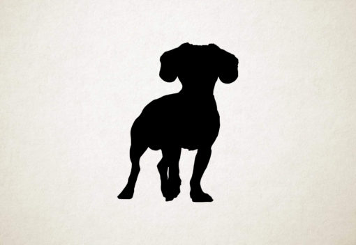 Cavachon - Silhouette hond