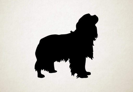 Cavalier King Charles Spaniel - Silhouette hond