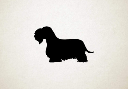 Cesky Terrier - Silhouette hond