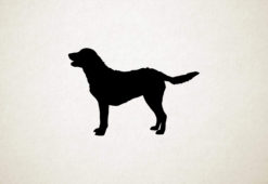 Chesapeaker Bay Retriever - Silhouette hond