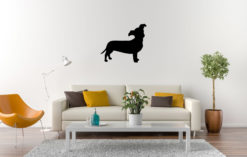 Chiweenie - Silhouette hond