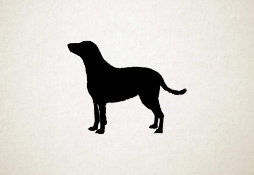 Curly-coated Retriever - Silhouette hond