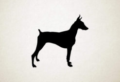 Dobermann Pinscher - Silhouette hond