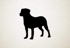 Entlebucher sennenhond - Silhouette hond