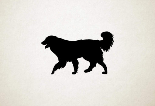 cao da Serra da Estrela - Estrela Mountain Dog - Silhouette hond