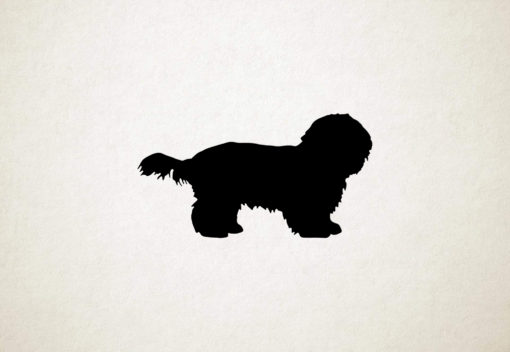 Maltese Shih Tzu - Maishi - Silhouette hond