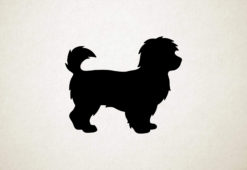 Maltipoo - Silhouette hond