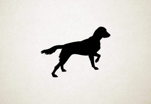 Small Munsterlander Pointer - Silhouette hond