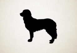 Stabyhoun - Silhouette hond