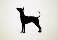 Mexiaanse naakthond - Xoloitzcuintli - Silhouette hond